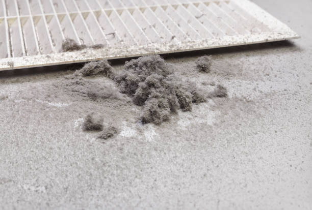 Best Professional Duct Cleaning Services  in Conway, AR